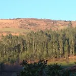 Rural La Capellania
