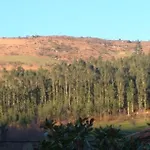 Rural La Capellania